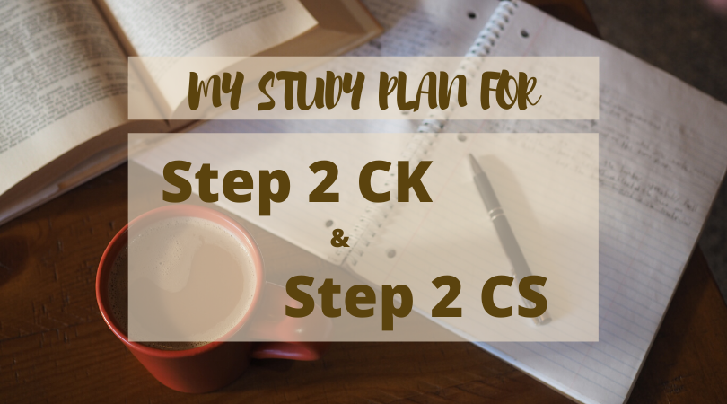 Step 2 CK and CS: My Plan of Attack